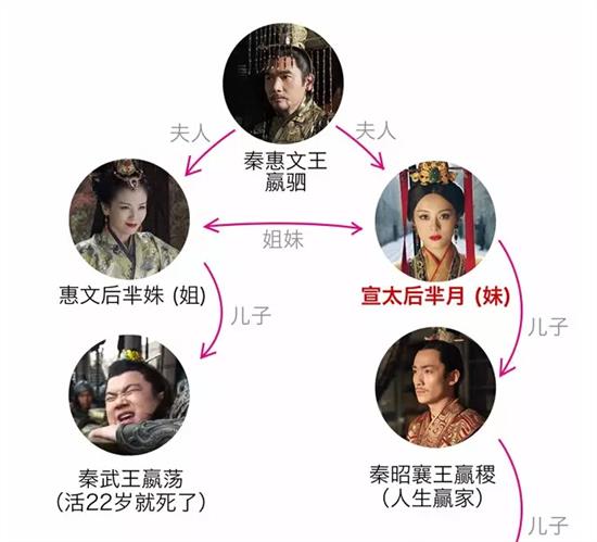 兵马俑是芈月的陪葬么_芈月与秦始皇的关系_芈月与秦王的关系