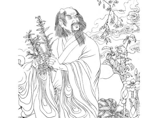 神农氏真的是存在的？