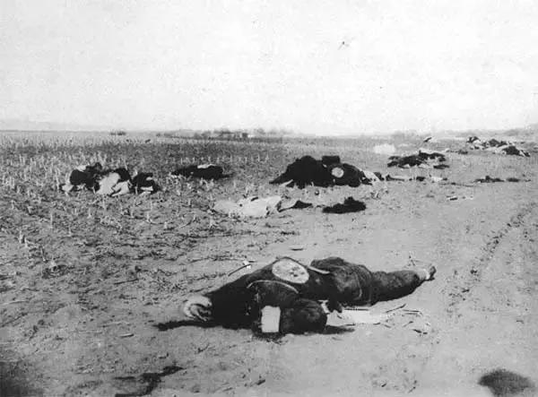 甲午海战,中国人永远的痛