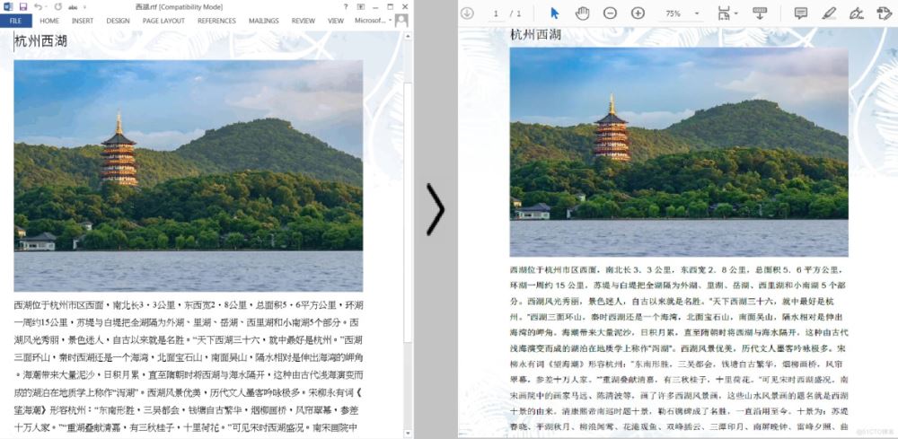 Java 将RTF转换为PDF格式_java_02