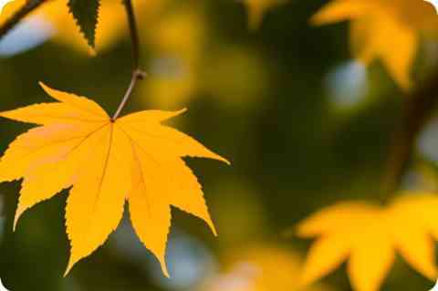 异物入眼应该怎么办？