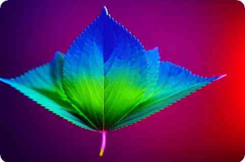 端午祝福语_公司2019端午节祝福语简短_端午祝福