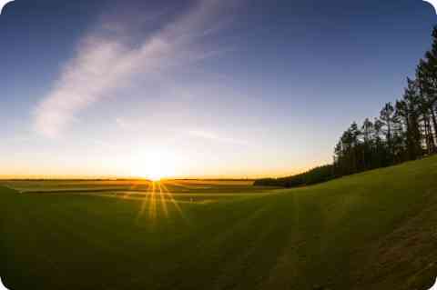 心情好烦的说说-感人的情话