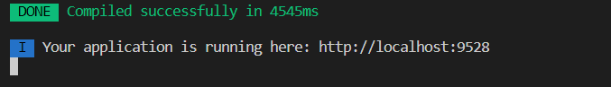 npm run dev