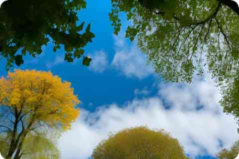 同学录祝福语 同学录祝福语