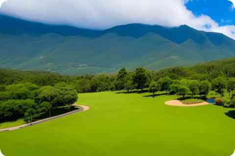 隔山打牛
