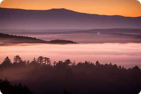 梦见劝架 自己劝架_周公解梦梦到劝架 自己劝架是什么意思_做梦梦见劝架 自己劝架好不好