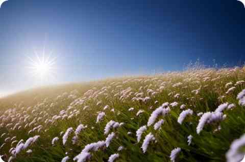 梦见平房_周公解梦梦到平房是什么意思_做梦梦见平房好不好