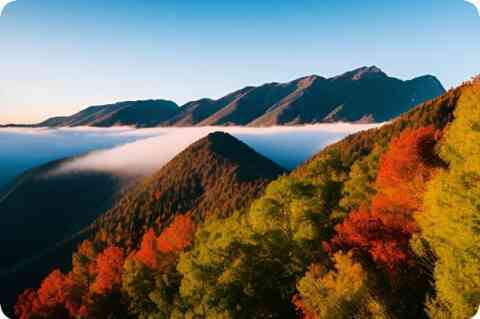 梦见自己被关进笼子_周公解梦梦到自己被关进笼子是什么意思_做梦梦见自己被关进笼子好不好 梦见自己被关进笼子_周公解梦梦到自己被关进笼子是什么意思_做梦梦见自己被关进笼子好不好