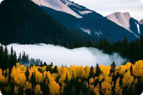 堕胎是 ... 人 堕胎是 ... 人