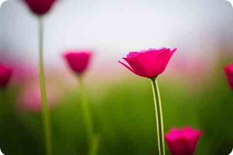 飞过窗口的年轻人 飞过窗口的年轻人