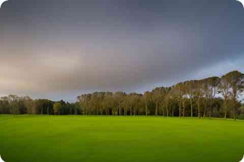 邶姓女孩起名大全_姓名测试 邶姓女孩起名大全_姓名测试