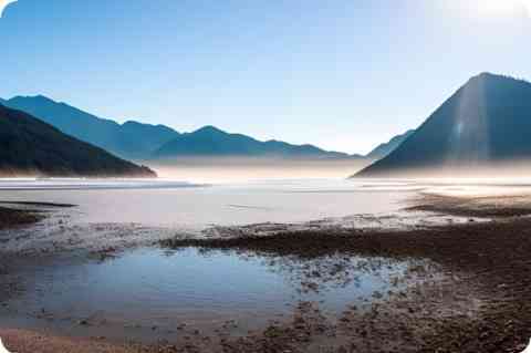 罕见的蓝色水母状生物在新泽西州上岸，令人费解的海滩游客